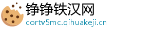 铮铮铁汉网	